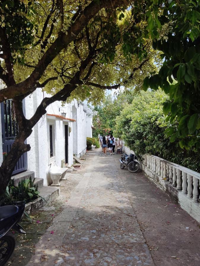 Cabana 52 En La Aldea Doradal Santorini Colombiano Dış mekan fotoğraf